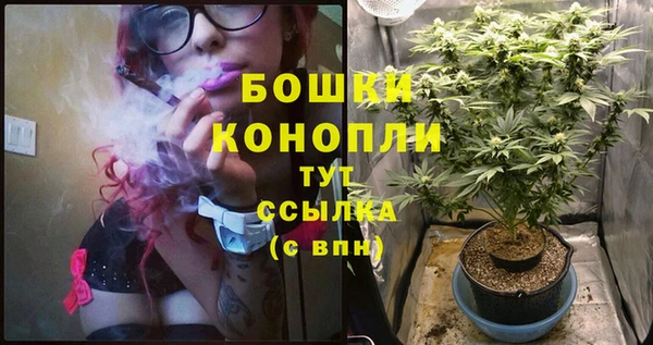 молекула духа Рославль