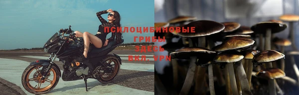 молекула духа Рославль